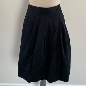 Banana Republic Skirt